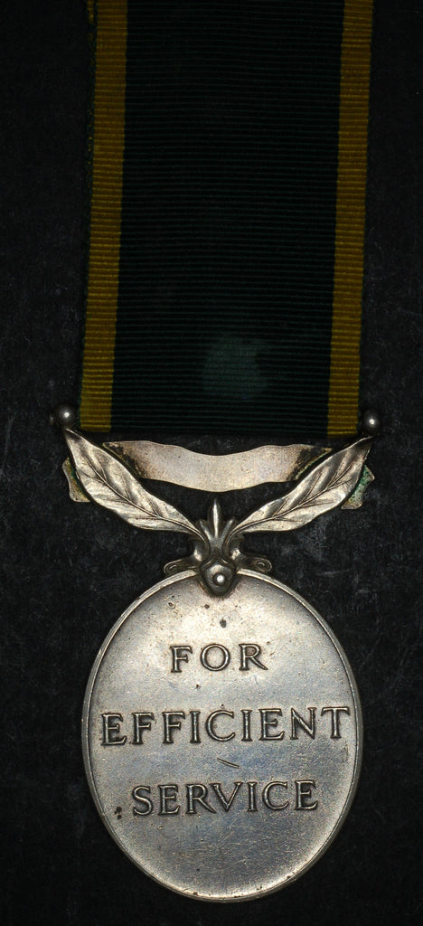 Territorial Efficiency medal. Lane. R.P.C – Coins4all